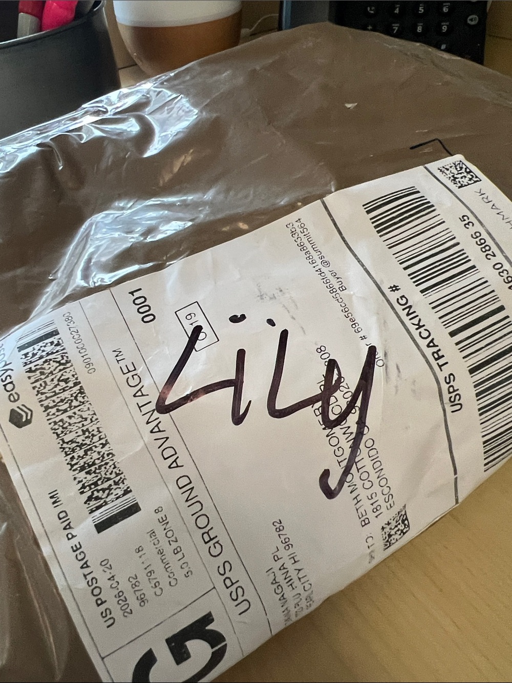 Brown Plastic Mailer with Shipping Label